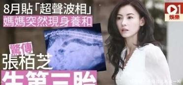 黄璐爆料张柏芝视频播放,引发网友热议 第1张 黄璐爆料张柏芝视频播放,引发网友热议 第1张